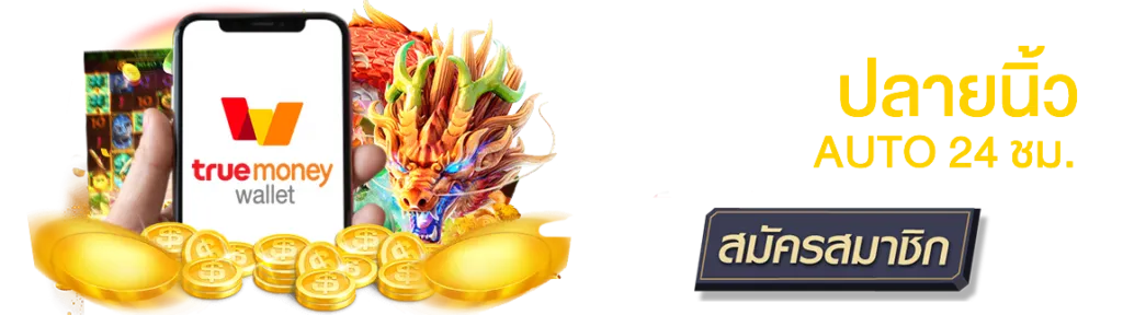 สล็อต ฝาก-ถอน true wallet เว็บตรง